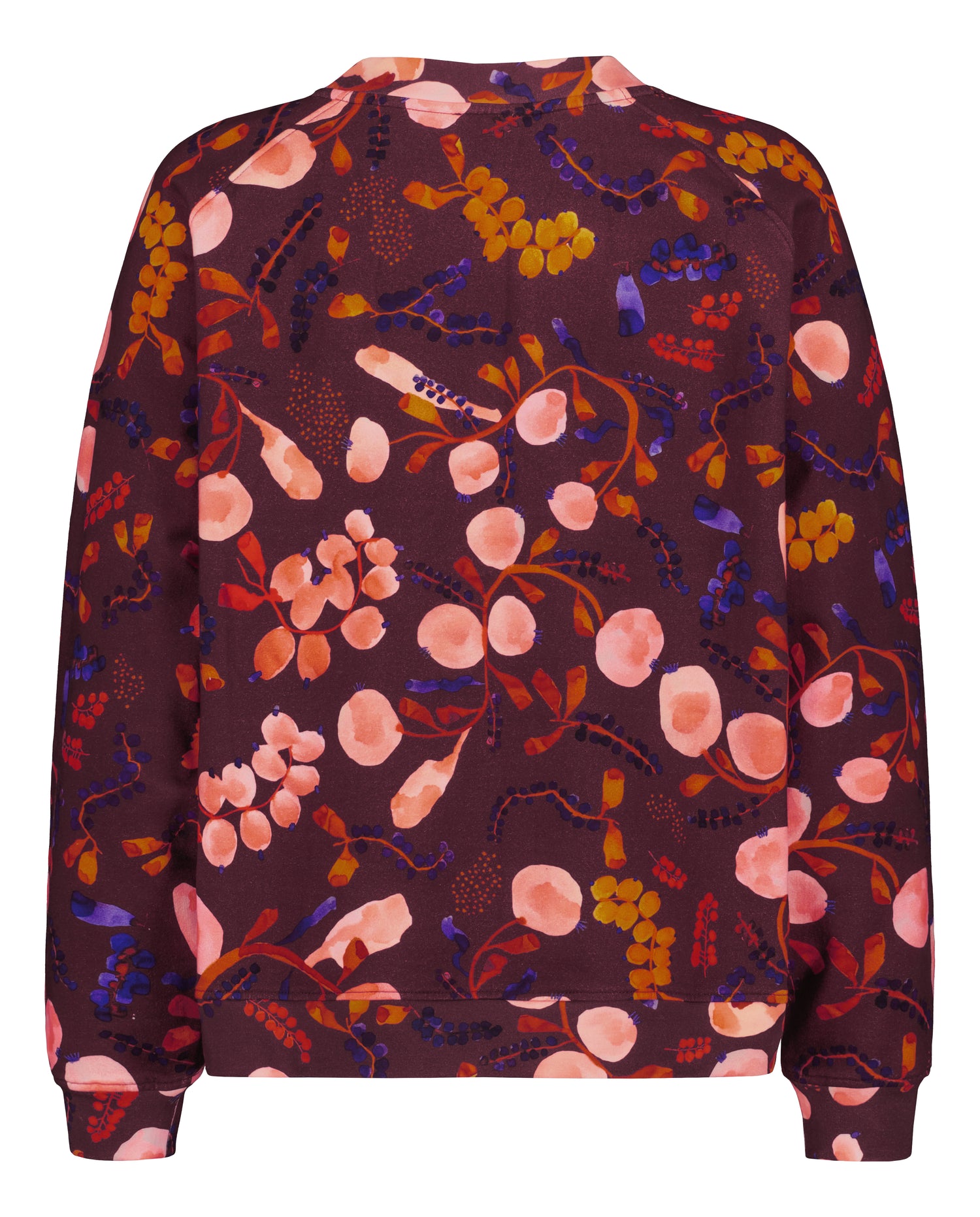 OUTLET: COLLEGEPAITA, Berrycloud