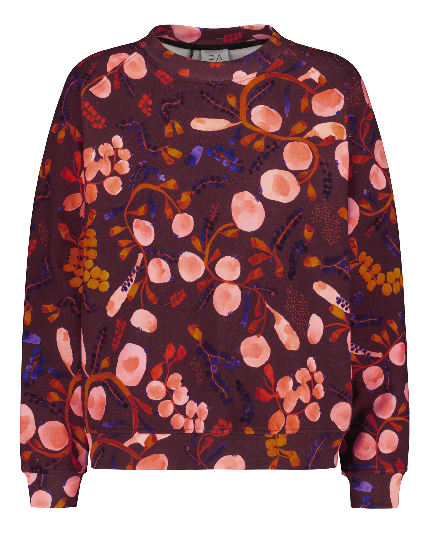 OUTLET: COLLEGEPAITA, Berrycloud
